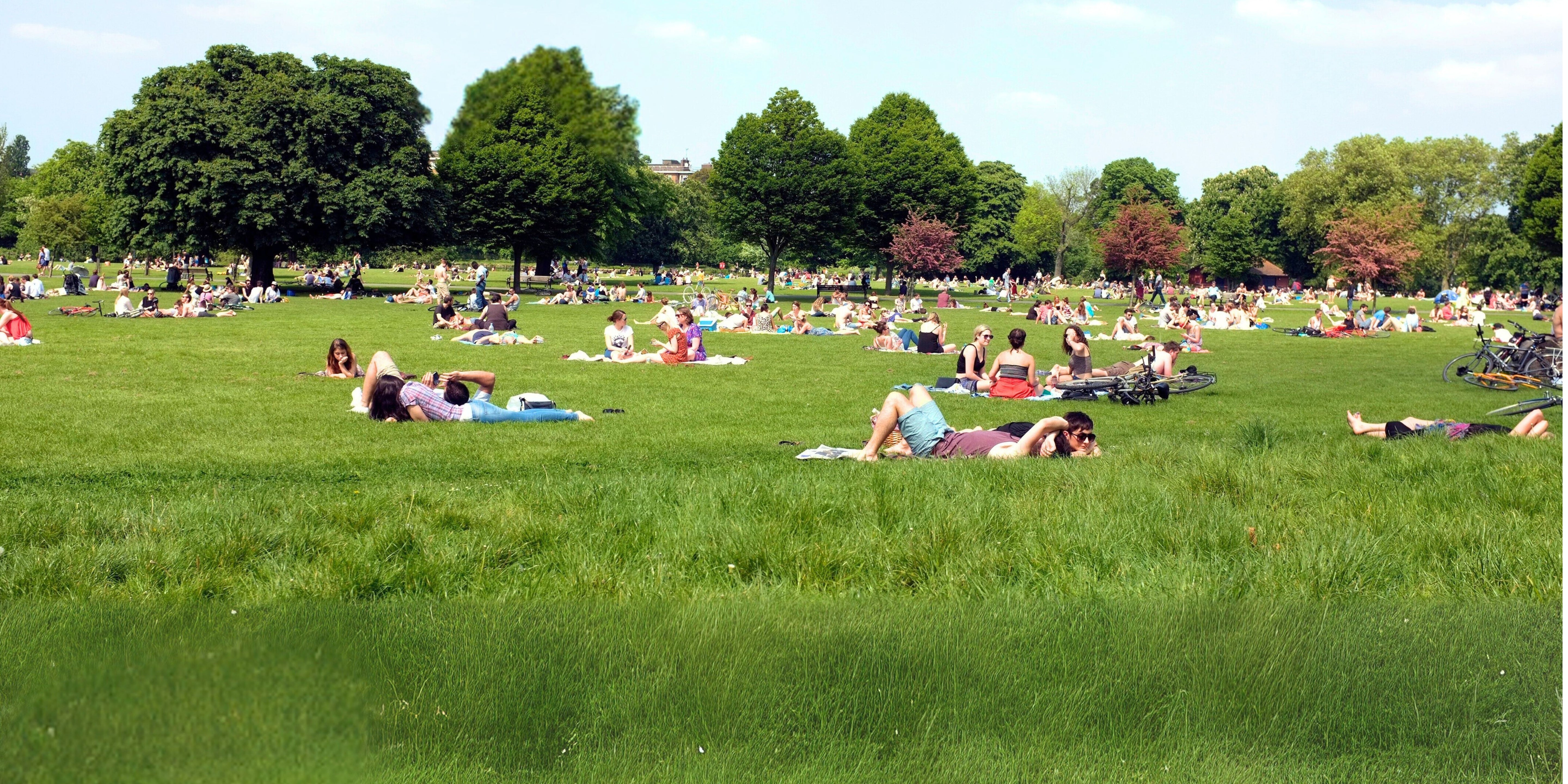 People relaxing on a grassy field with trees and a clear sky as if knowing how to be happy, how to enjoy life, and how to find peace.