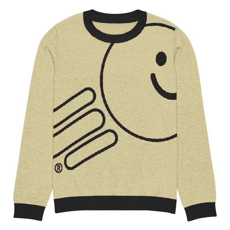 Knitted crew neck sweater