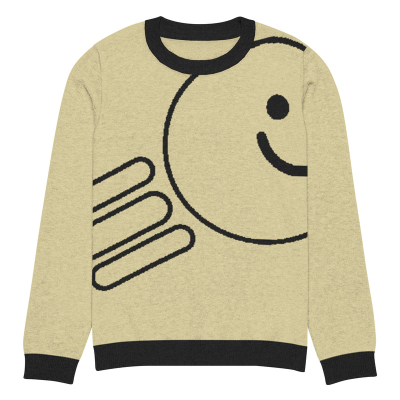 Knitted crew neck sweater