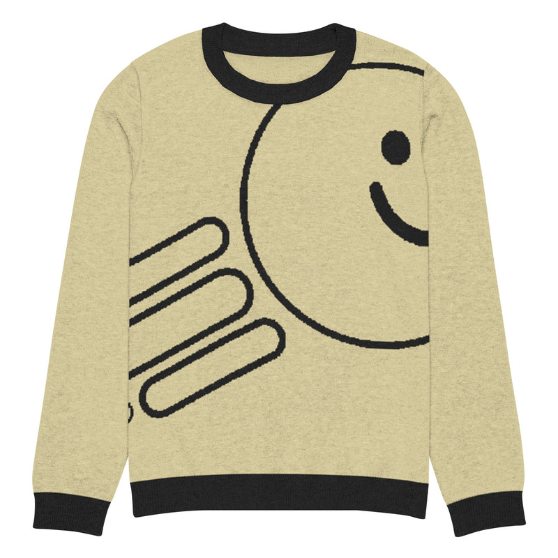 Knitted crew neck sweater